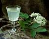 Elderflower Champaign and flower